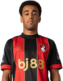 Tyler Adams portrait