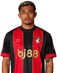 Julián Araujo Zúñiga portrait